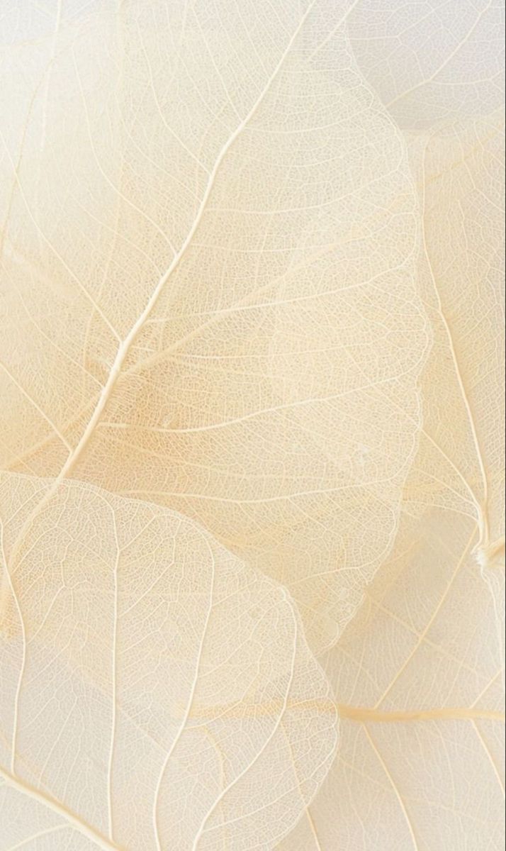 Hojas calco translúcidas, nervaduras vegetales